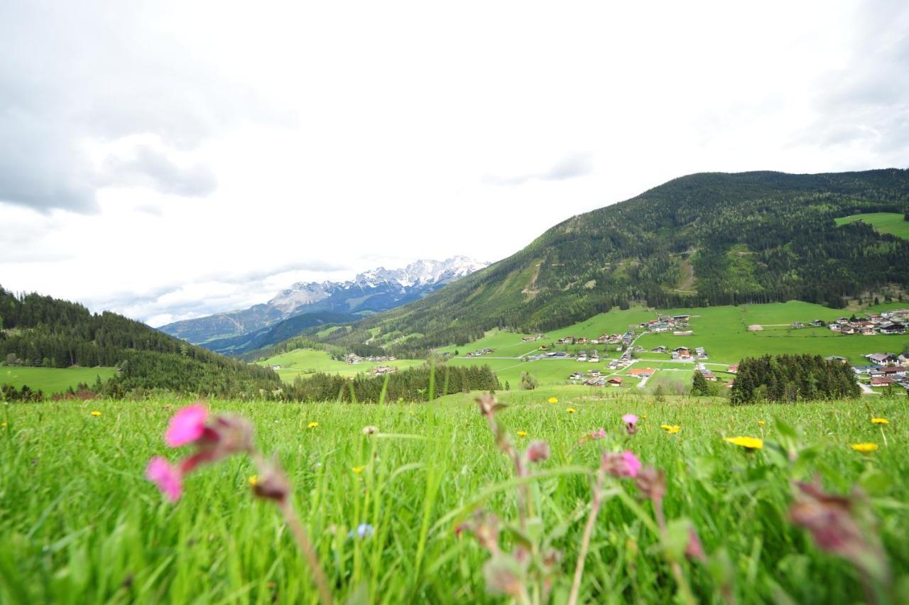 Buttermilchalm Bed and Breakfast Sankt Martin am Tennengebirge Εξωτερικό φωτογραφία