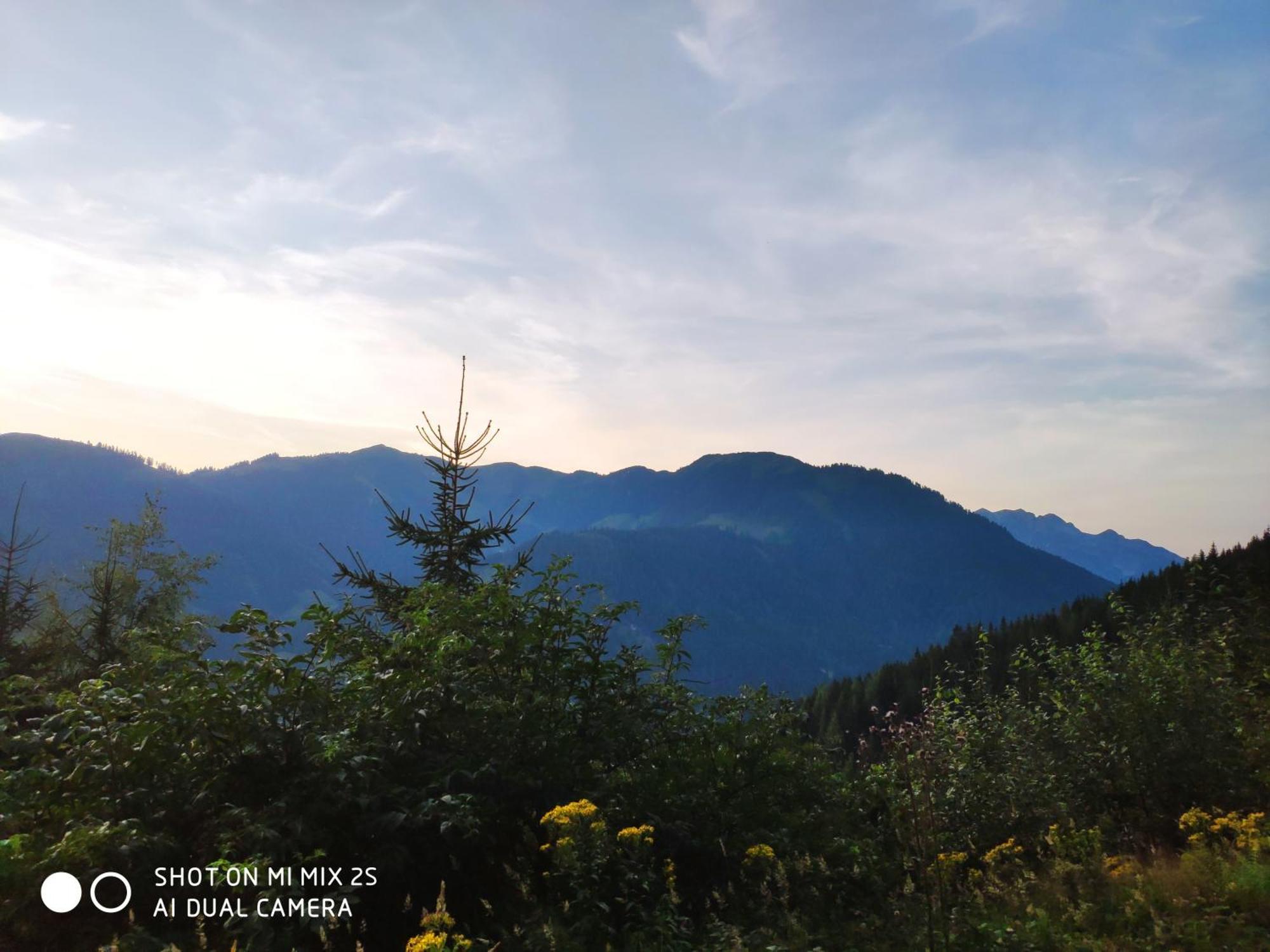 Buttermilchalm Bed and Breakfast Sankt Martin am Tennengebirge Εξωτερικό φωτογραφία