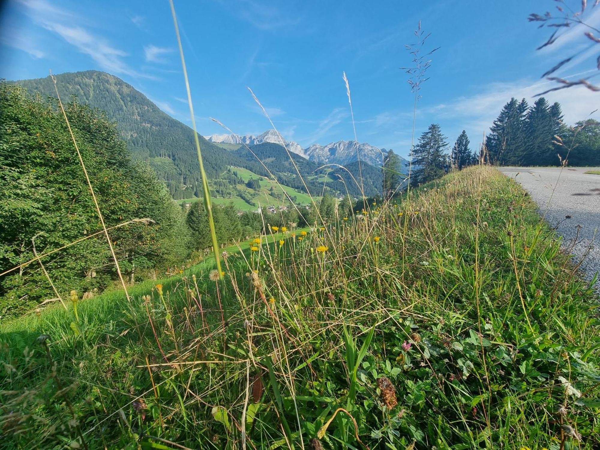 Buttermilchalm Bed and Breakfast Sankt Martin am Tennengebirge Εξωτερικό φωτογραφία